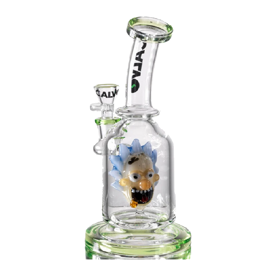 RICK & MORTY RIG
