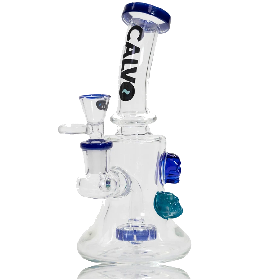SKULL RIG CALVO