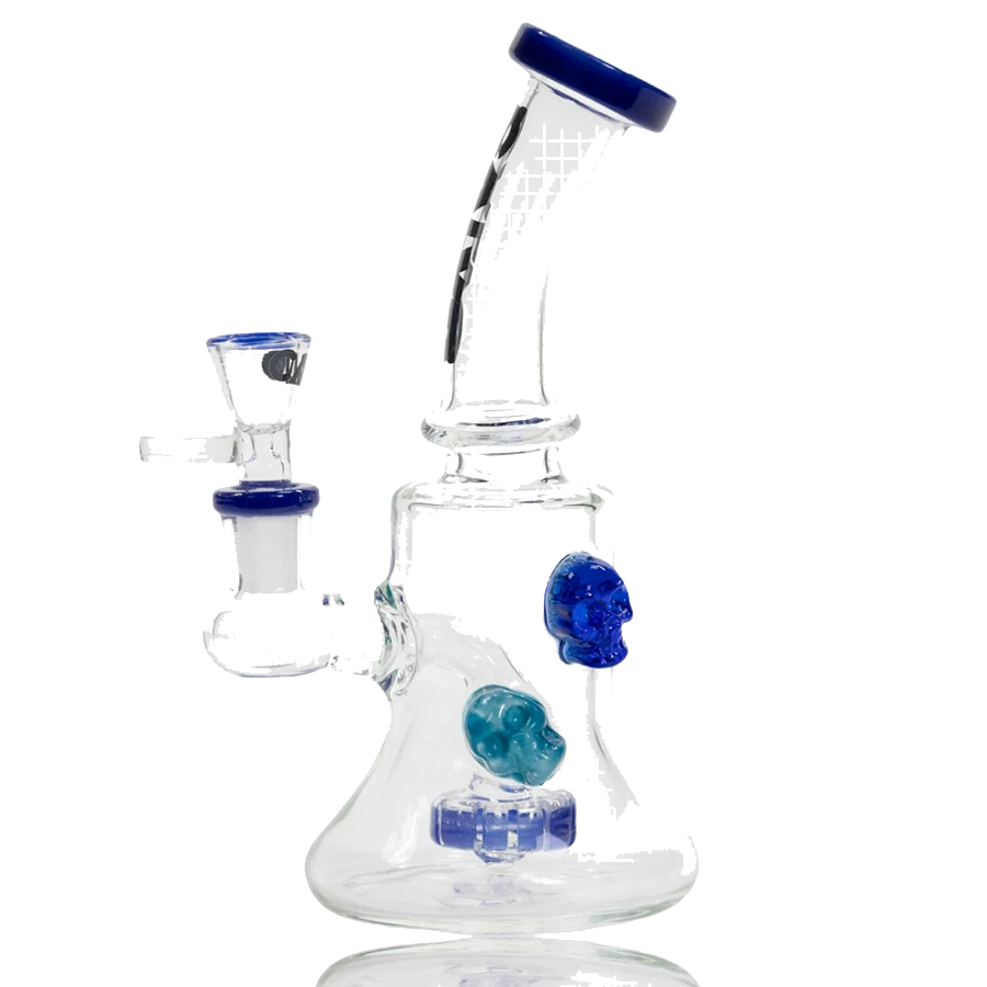 SKULL RIG CALVO