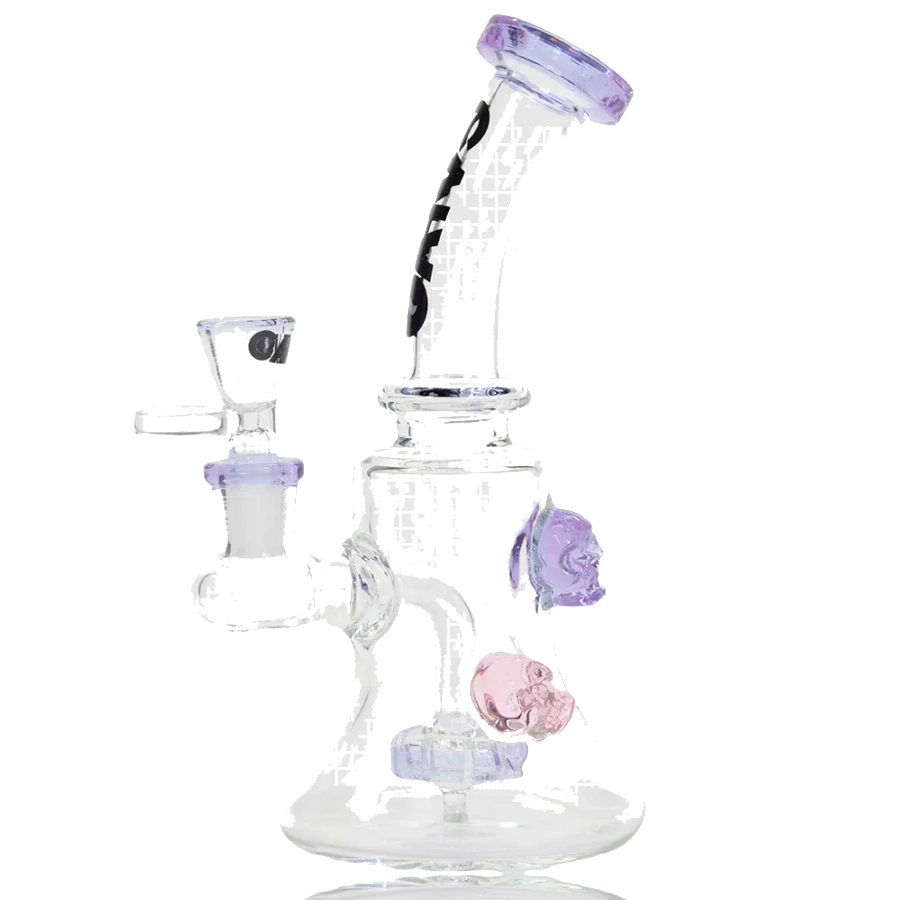 SKULL RIG CALVO