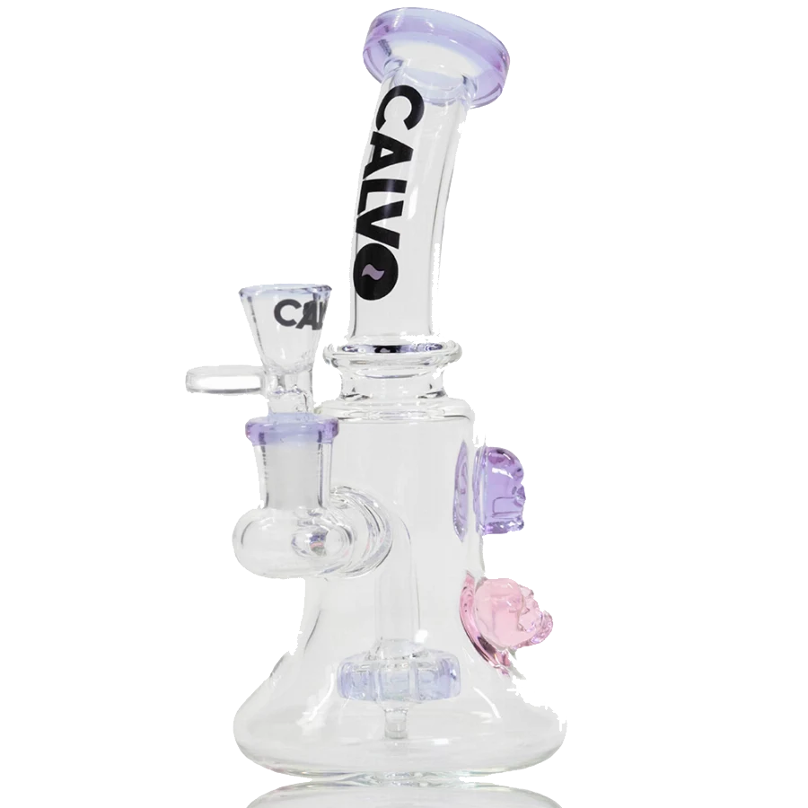 SKULL RIG CALVO